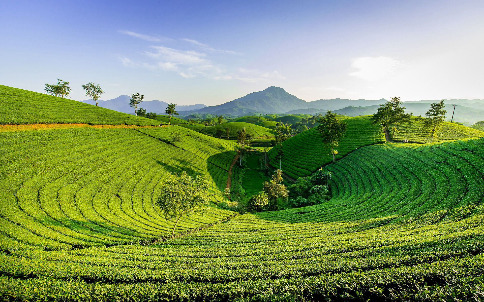 Voyage photo au Vietnam en petit groupe accompagné d'un guide francophone et d'un photographe professionnel.