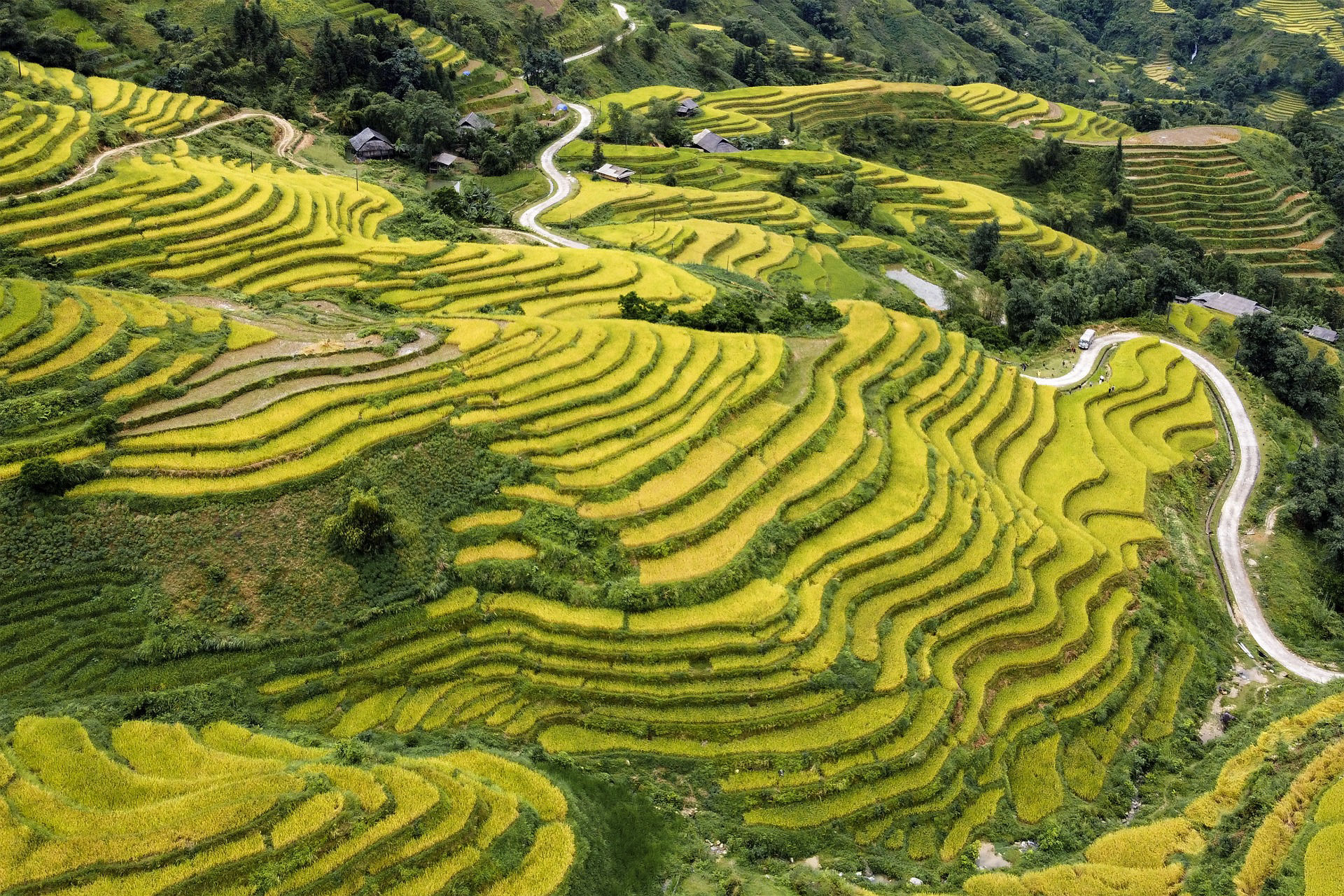 Rizières en terrasses de Hoang Su Phi