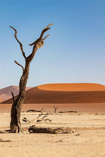 Voyage photo en Namibie